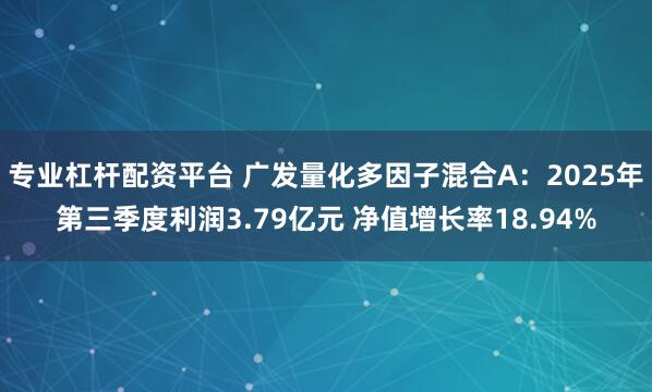 专业杠杆配资平台 广发量化多因子混合A：2025年第三季度利润3.79亿元 净值增长率18.94%