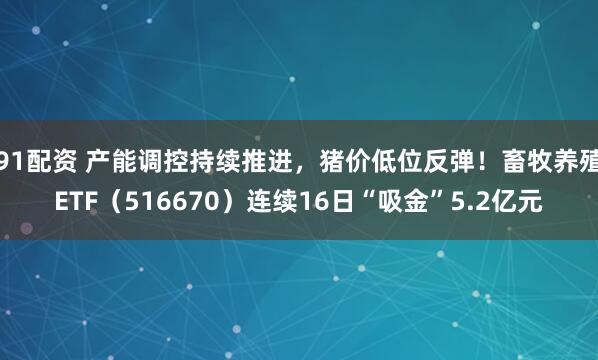 91配资 产能调控持续推进，猪价低位反弹！畜牧养殖ETF（516670）连续16日“吸金”5.2亿元